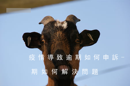 疫情導致逾期如何申訴-因疫情原因導致逾期如何解決問題