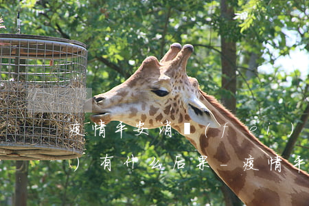 疫情平安消費(fèi)貸逾期會(huì)有什么后果-疫情平安消費(fèi)貸逾期會(huì)有什么后果嗎