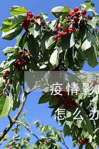 疫情影响信用卡不协商 因疫情信用卡还不上怎么办