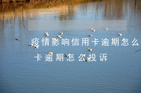 疫情影响信用卡逾期怎么投诉(疫情影响信用卡逾期怎么投诉)