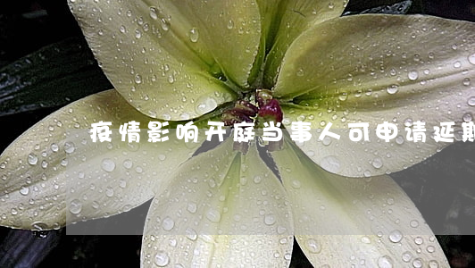 疫情影响开庭当事人可申请延期吗