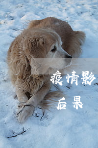 疫情影響信用卡逾期3月(信用卡逾期三月的后果)
