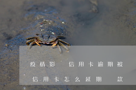 疫情影響信用卡逾期被銀行催在 受疫情影響信用卡怎么延期還款
