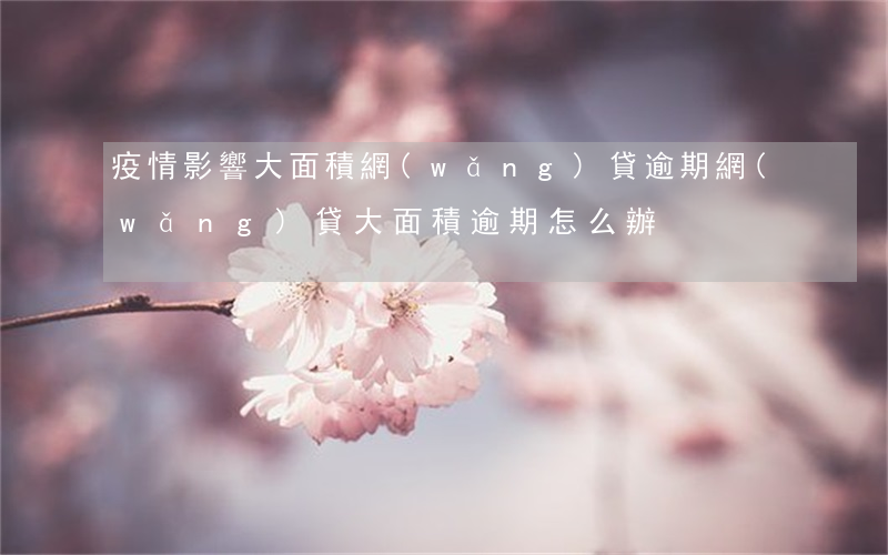 疫情影響大面積網(wǎng)貸逾期(網(wǎng)貸大面積逾期怎么辦)