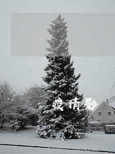 疫情影響房貸可以逾期么