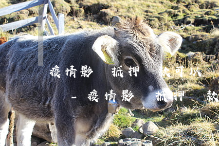 疫情影響抵押貸款可以協(xié)商還款嗎-疫情影響抵押貸款可以協(xié)商還款嗎知乎