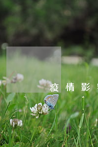 疫情影響欠網貸(疫情影響無法還網貸)