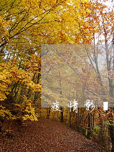 疫情影響網(wǎng)貸可以晚還款嗎