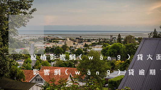 疫情影響網(wǎng)貸大面積逾期(疫情影響網(wǎng)貸逾期了暫時還不上怎么辦)