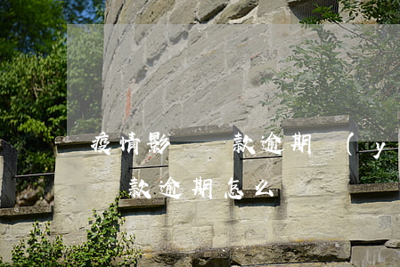 疫情影響貸款逾期嚴(yán)重(疫情影響貸款逾期怎么辦)