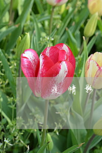 疫情影響逾期（疫情期間逾期被起訴嗎）