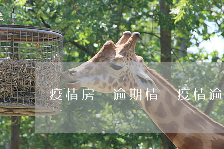 疫情房貸逾期情況(疫情逾期交房)