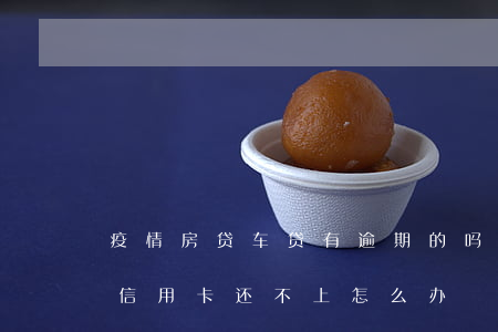 疫情房贷车贷有逾期的吗(疫情期间房贷车贷信用卡还不上怎么办)