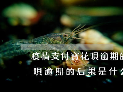 疫情支付寶花唄逾期的后果-疫情支付寶花唄逾期的后果是什么