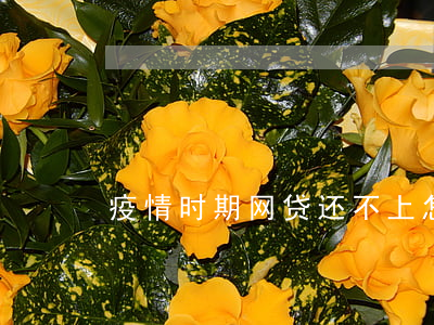 疫情时期网贷还不上怎么办