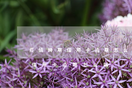 疫情時期信用卡逾期怎么辦呢-在疫情期間信用卡逾期怎么辦