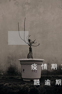疫情期京東金融逾期上征信嗎(疫情期京東金融逾期上征信嗎)