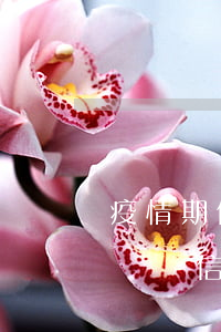 疫情期信用卡可以先不還嗎(疫情期間可以推遲還信用卡嗎)