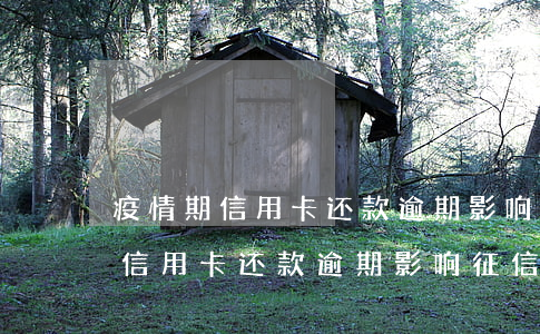 疫情期信用卡还款逾期影响征信吗-疫情期信用卡还款逾期影响征信吗知乎