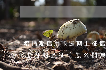 疫情期信用卡逾期上征信嗎(因疫情原因信用卡逾期上征信怎么開具證明)