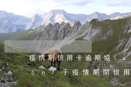 疫情期信用卡逾期協(xié)商(關(guān)于疫情期間信用卡逾期)