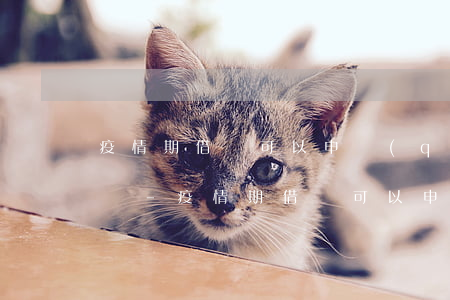 疫情期借唄可以申請(qǐng)延期還款嗎-疫情期借唄可以申請(qǐng)延期還款嗎知乎