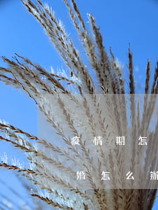 疫情期怎么辦離婚手續(xù)(疫情期間離婚怎么辦理)