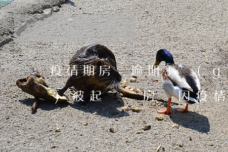 疫情期房貸逾期3個(gè)月會(huì)被起訴嗎(房貸因疫情期間逾期2個(gè)月銀行可以起訴嗎?)
