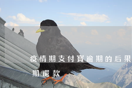 疫情期支付寶逾期的后果(疫情影響支付寶延期還款)
