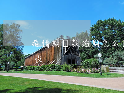 疫情期貸款逾期怎么辦(疫情期間逾期貸款催收)