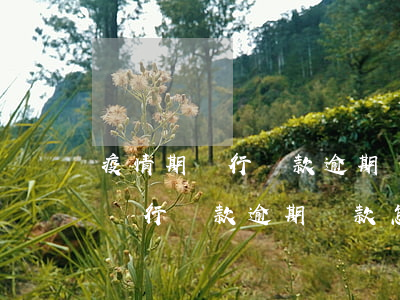 疫情期銀行貸款逾期還款怎么處理-疫情期銀行貸款逾期還款怎么處理的