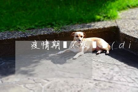 疫情期間不服從調(diào)配判刑嗎