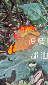 疫情期間信用卡全部逾期(疫情期間信用卡全部逾期)