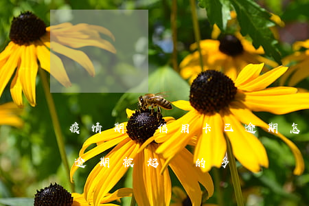 疫情期間信用卡已逾期怎么辦(疫情后信用卡逾期被起訴的多嗎)