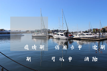疫情期間信用卡申請逾期(疫情期間信用卡逾期記錄可以申請消除嗎)
