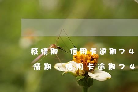 疫情期間信用卡逾期742萬(wàn)（疫情期間信用卡逾期742萬(wàn)）