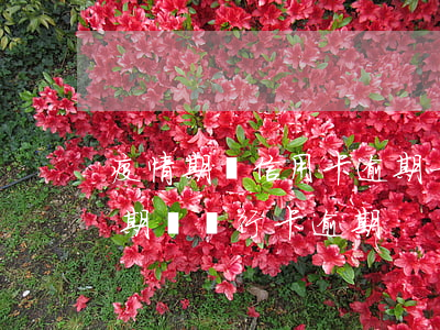 疫情期間信用卡逾期一個(gè)星期(疫情期間銀行卡逾期)