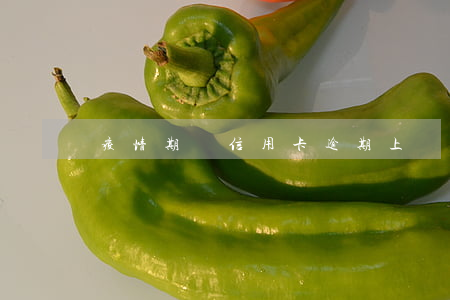疫情期間信用卡逾期上訴