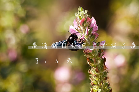 疫情期間信用卡逾期了 疫情期間信用卡逾期了15天