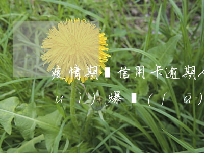 疫情期間信用卡逾期人數(shù)會(huì)爆發(fā)-疫情下信用卡逾期有多少人