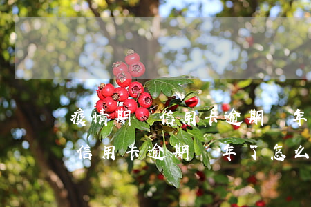 疫情期間信用卡逾期兩年了怎么辦(疫情期間信用卡逾期兩年了怎么辦)