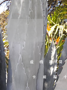 疫情期間信用卡逾期十五天了（疫情期間信用卡逾期十五天了）
