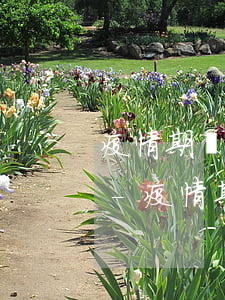 疫情期間信用卡逾期可以協(xié)商嗎-疫情期間信用卡逾期可以協(xié)商嗎怎么辦