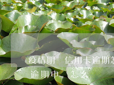 疫情期間信用卡逾期怎么說(疫情期間信用卡逾期申請怎么寫)