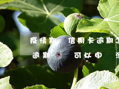 疫情期間信用卡逾期怎么辦(疫情期間信用卡逾期記錄可以申請消除嗎)