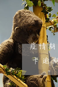 疫情期間信用卡逾期有多少(今年疫情期信用卡逾期起訴)