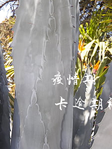 疫情期間信用卡逾期有違約金嗎(疫情后信用卡逾期被起訴的多嗎)