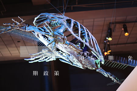 疫情期間信用卡逾期減免(疫情期間信用卡延期政策)