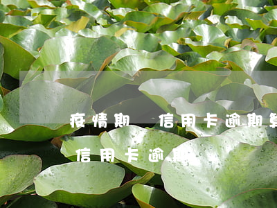 疫情期間信用卡逾期算嗎(因為疫情多少人欠信用卡逾期)