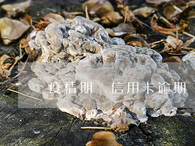 疫情期間信用卡逾期罰息嗎